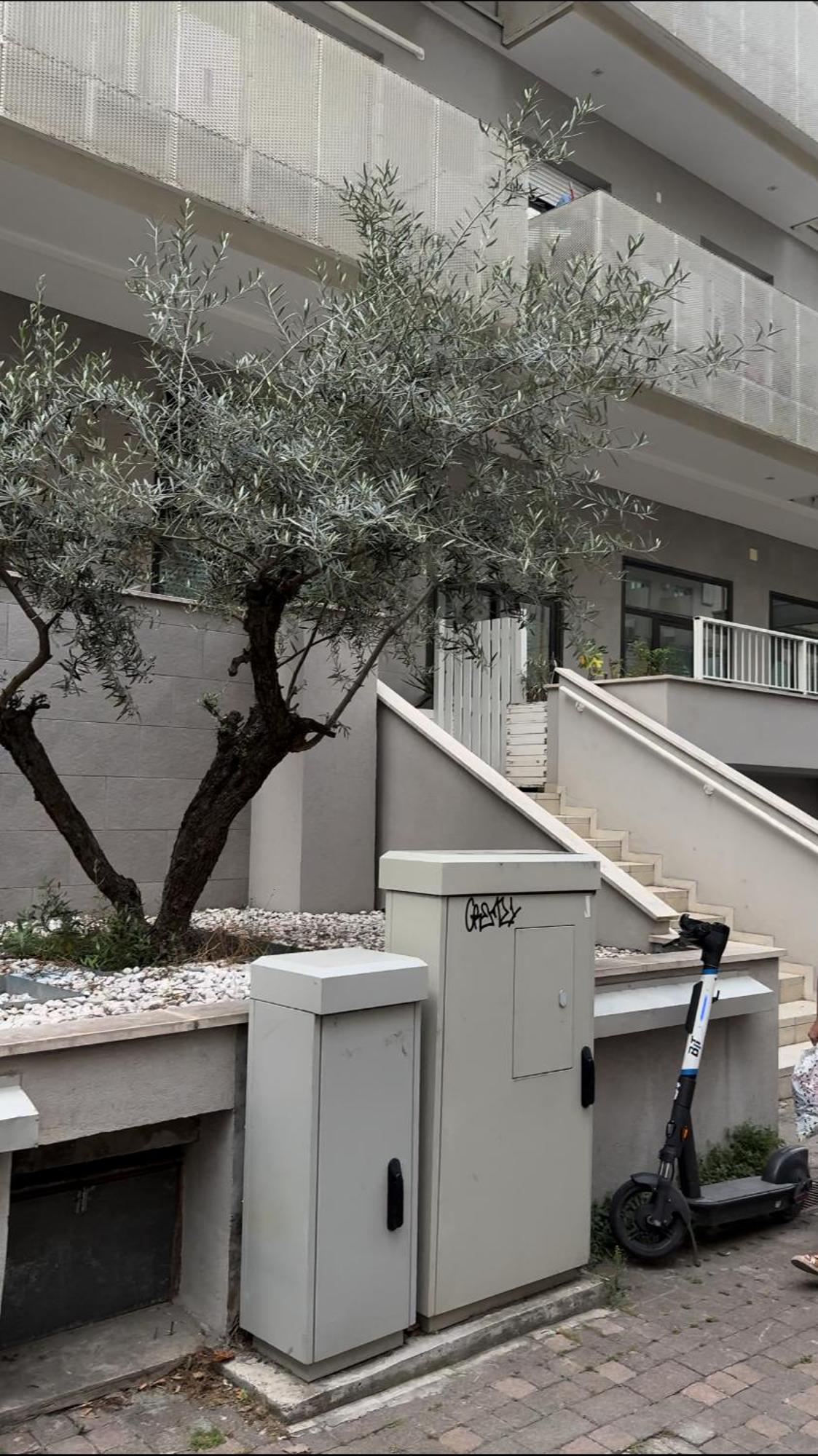 Rimini Marina Apartment Bagian luar foto